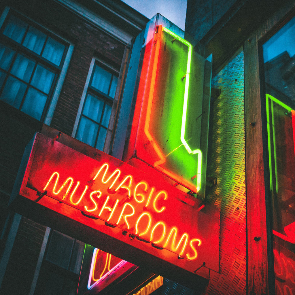 Photo de nuit à Amsterdam montrant une enseigne néon verte et rouge “Magic Mushrooms” éclairant l’entrée d’un magasin dans une ambiance urbaine