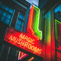 Photo de nuit à Amsterdam montrant une enseigne néon verte et rouge “Magic Mushrooms” éclairant l’entrée d’un magasin dans une ambiance urbaine