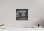 30 x 30 cm, Photo papier noir & blanc Tirage photo [ Rotterdam - Le Sphynx ] - Photographie d'art