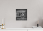 30 x 30 cm, Alu-Dibon noir & blanc Tirage photo [ Rotterdam - Le Sphynx ] - Photographie d'art