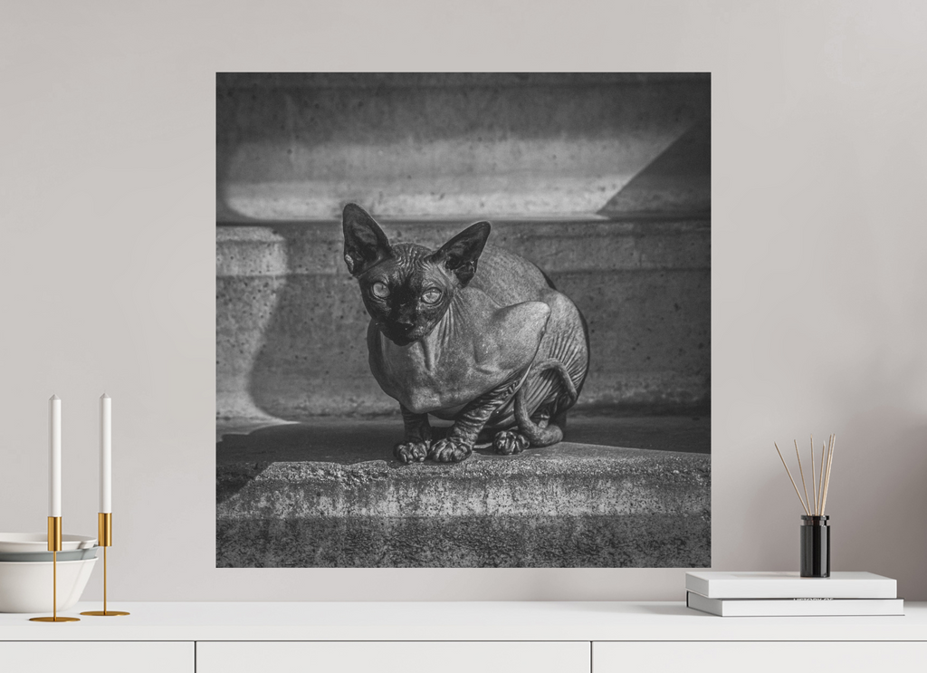 60 x 60 cm, Alu-Dibon noir & blanc Tirage photo [ Rotterdam - Le Sphynx ] - Photographie d'art